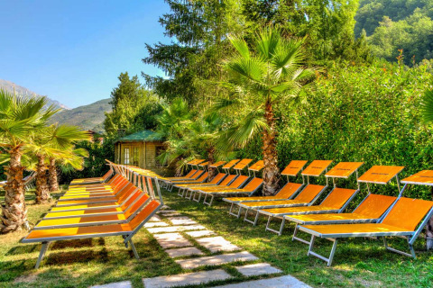 Tumbonas y palmeras al sol en Camping Delle Rose, parque vacacional en Liguria, Italia, rodeado de vegetación.