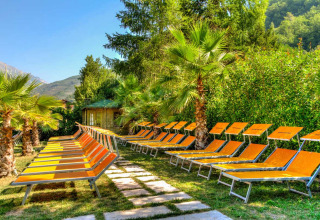 Zonnige ligstoelen en palmbomen bij Camping Delle Rose, een vakantiedomein in Ligurië, Italië, in het groen.