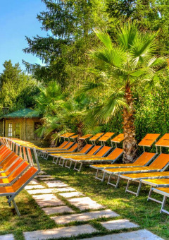 Tumbonas y palmeras al sol en Camping Delle Rose, parque vacacional en Liguria, Italia, rodeado de vegetación.
