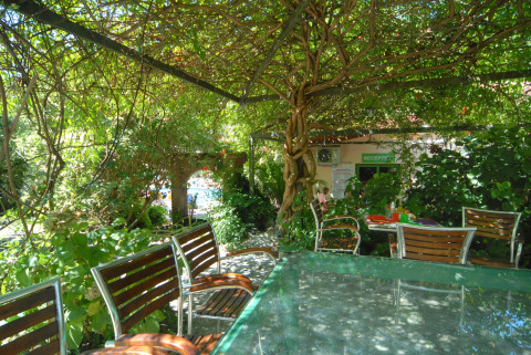 Outdoor seating area with wooden chairs and lush greenery at Camping Delle Rose in Liguria, Italy.