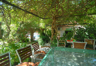 Buitenzitruimte met houten stoelen en weelderig groen bij Camping Delle Rose in Ligurië, Italië.