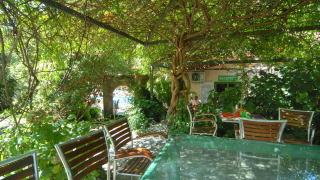 Zona de estar al aire libre con sillas de madera y vegetación en Camping Delle Rose, Liguria, Italia.