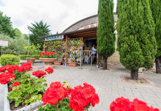 Ingresso del market con fiori colorati e cipressi al Camping Il Poggetto, in Toscana, Italia.