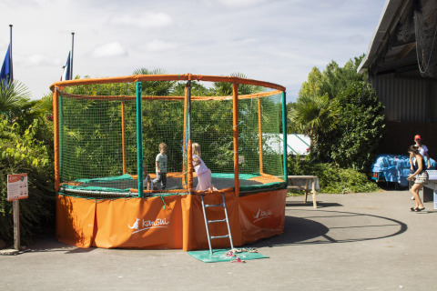 Bambini che giocano su un grande trampolino con rete di sicurezza al Camping La Bretonnière, Pays de la Loire, Francia