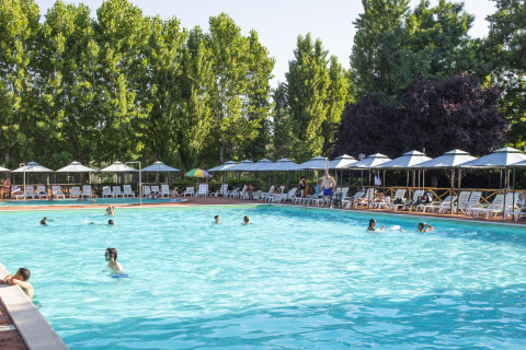 Piscina al aire libre con personas nadando y muchas tumbonas y sombrillas, rodeada de árboles verdes altos.
