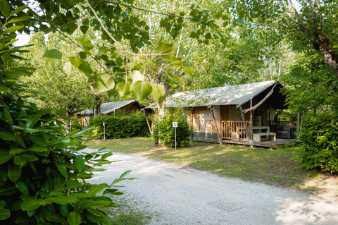 Tiendas lodge en Camping La Chiocciola en la Toscana, Italia, rodeadas de abundante vegetación y naturaleza.