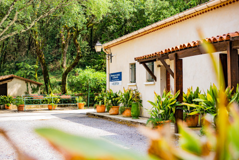 Ingresso del Camping La Clémentine, parco vacanze in Occitania, Francia, circondato da piante verdi e alberi.