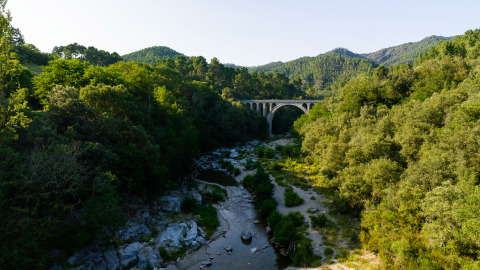 View of lush green forest, river, and stone arch bridge at Camping La Clémentine in Occitanie, France.