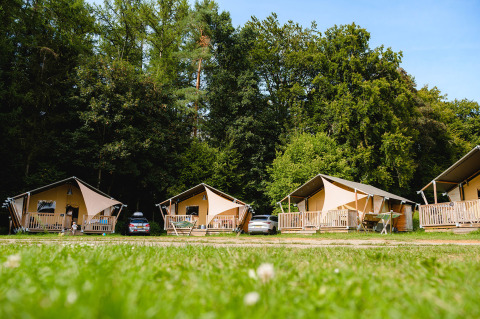 Row of glamping tents at Camping La Colline, Belgium, set in a lush green forest with parked cars nearby.