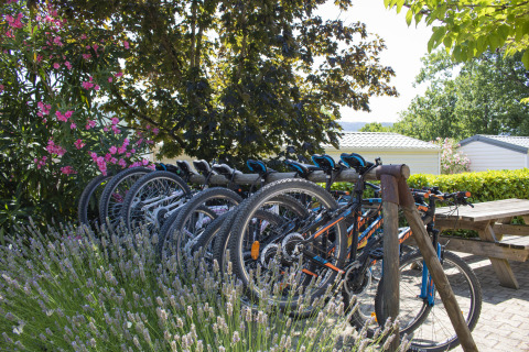 Serie di mountain bike parcheggiate tra alberi e fiori al Camping La Garenne, Francia.