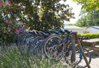 Række af mountainbikes parkeret under træer ved Camping La Garenne, omgivet af blomster og grøn natur.