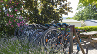Row of mountain bikes parked under trees at Camping La Garenne, surrounded by flowers and greenery.