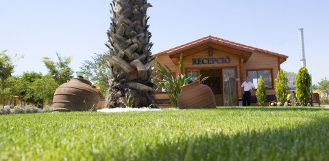 Recepción de Camping La Masia en Cataluña, España, con césped verde, palmera y grandes macetas.