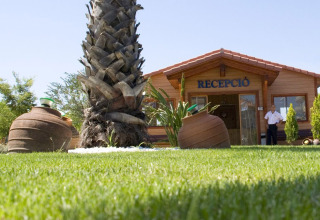 Receptie van Camping La Masia in Catalonië, Spanje, met gras, palmboom en grote aardewerken potten.