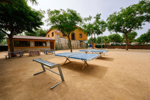 Tavoli da ping pong all’aperto e panche sotto gli alberi al Camping La Masia, in Catalogna, Spagna.