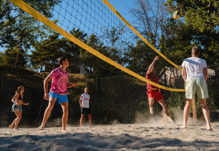 Vakantiegangers spelen beachvolleybal op een zandveld tussen bomen bij Camping La Presqu’île in Frankrijk.