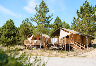 Tende safari su terrazze in legno al Camping La Presqu’île in Provenza-Alpi-Costa Azzurra, tra pini verdi.