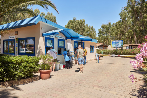 Ferieparkgæster venter ved Camping Laguna Blus check-in skranke i Sardinien, Italien, omgivet af grønt.
