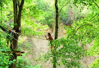Two people cross a rope adventure course between trees at Camping Le Canigou holiday park in Occitanie, France.