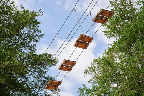 Upward view of a rope bridge with wooden planks between trees at Camping Le Canigou in Occitanie, France.