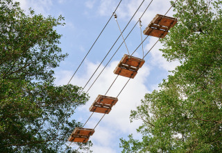 Upward view of a rope bridge with wooden planks between trees at Camping Le Canigou in Occitanie, France.