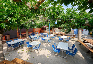 Area pranzo all'aperto a Camping Le Canigou in Occitania, Francia, con tavoli, sedie blu e alberi.