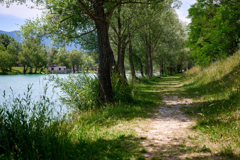 Sentiero verdeggiante vicino al lago con alberi e casette al Camping Le Lac Bleu, Auvergne-Rhône-Alpes, Francia.