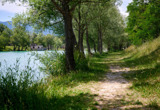 Sentiero verdeggiante vicino al lago con alberi e casette al Camping Le Lac Bleu, Auvergne-Rhône-Alpes, Francia.