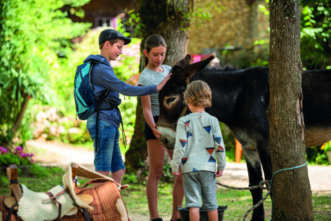 Niños acarician un burro bajo la sombra de los árboles en Camping Le Pech Charmant, Nouvelle-Aquitaine, Francia.