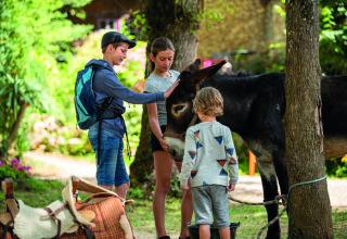 Kinderen aaien een ezel bij Camping Le Pech Charmant in Nouvelle-Aquitaine, Frankrijk, onder de bomen.