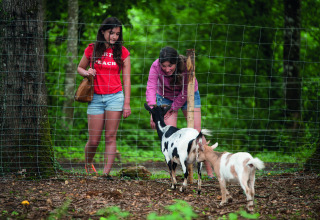 Twee meisjes voederen geiten achter een omheining, een hoogtepunt van Camping Le Pech Charmant in Frankrijk.