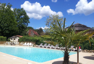 Swimmingpool med palmer og liggestole ved Camping Le Pech Charmant i Nouvelle-Aquitaine, Frankrig.