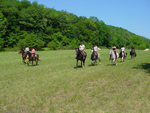 Un grupo de personas montando a caballo en un prado verde cerca del bosque en Camping Le Pech Charmant, Francia.