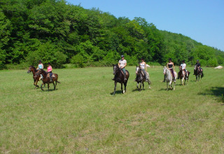 Een groep mensen rijdt te paard op een groene weide bij Camping Le Pech Charmant, Nieuw-Aquitanië, Frankrijk.