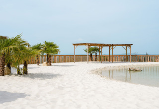 Highlights of Camping Le Sequoia: sandy beach, palm trees, and lagoon at a holiday park in Nouvelle-Aquitaine, France.