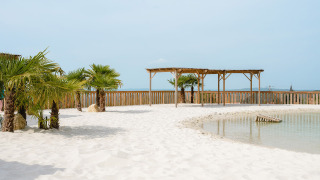 Aspectos destacados de Camping Le Sequoia: playa de arena, palmeras y laguna en Nouvelle-Aquitaine, Francia.
