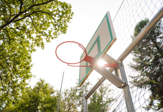 Outdoor basketball hoop in sunlight at Camping Le Sequoia, a holiday park in Nouvelle-Aquitaine, France.