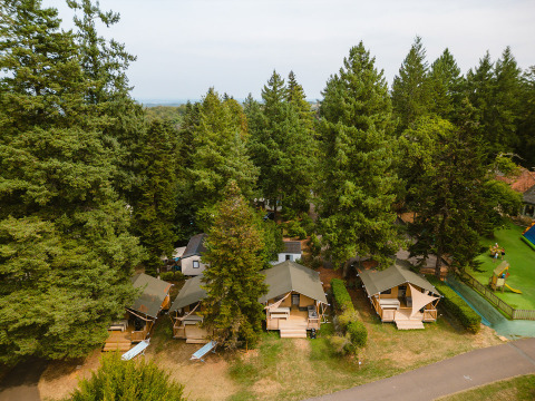 Vista aérea de cabañas entre altos árboles en Camping Le Sequoia, parque vacacional en Nouvelle-Aquitaine, Francia.