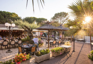 Gezellig buitenterras op Camping Leï Suves in Provence met gasten, palmbomen en warme zonnestralen.