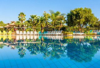 Swimmingpool med liggestole og palmer på Camping Leï Suves, en feriepark i Provence-Alpes-Côte d’Azur, Frankrig.