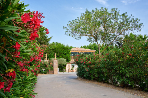 Ingang van Camping Les Pêcheurs in Provence-Alpes-Côte d’Azur met veel groen en rode bloemen langs de weg.