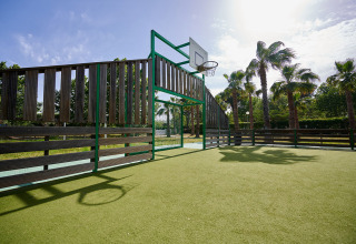 Outdoor basketball court with palm trees in the background at Camping Les Pêcheurs, Provence, France.