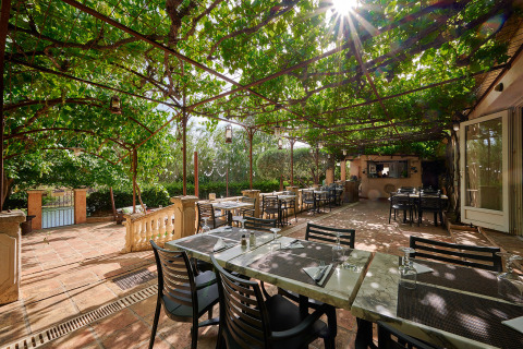 Zona pranzo all'aperto al Camping Les Pêcheurs in Provenza con pergolato verde e tavoli apparecchiati al sole.