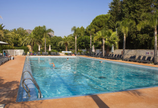Piscina all'aperto circondata da lettini e palme al Camping Les Pêcheurs in Provenza-Alpi-Costa Azzurra, Francia.