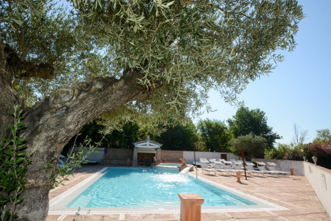 Piscina soleada con tumbonas y olivo en Camping Les Pêcheurs, Provenza-Alpes-Costa Azul, Francia.