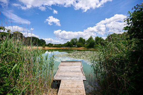 Pontile di legno su uno stagno circondato da canne e ninfee a Camping Lestaubière in Nouvelle-Aquitaine.