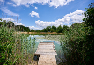 Holzsteg über einen Teich mit Seerosen und Schilf im Camping Lestaubière, Nouvelle-Aquitaine, Frankreich.
