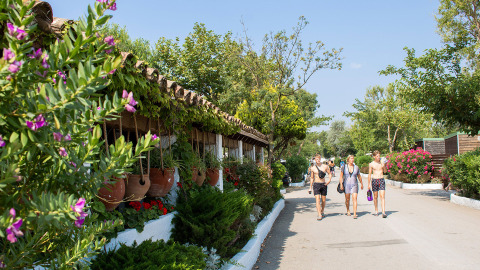 Ospiti passeggiano al sole al Camping Nautic Almata, Catalogna, Spagna, circondati da piante e fiori colorati.