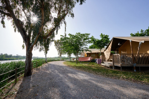 Vista di sentiero sterrato, alberi e tende glamping al Camping Nautic Almata in Catalogna, Spagna.