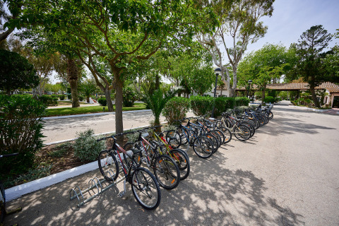 Biciclette parcheggiate all’ombra degli alberi a Camping Nautic Almata, parco vacanze in Catalogna, Spagna.
